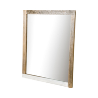 Adesso ADESB05 Wall mirror